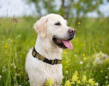Pets First NHL Nashville Predators Collar for Dogs & Cats, Medium. - Adjustable, Cute & Stylish! The Ultimate Hockey Fan Collar! (Pack of 2)