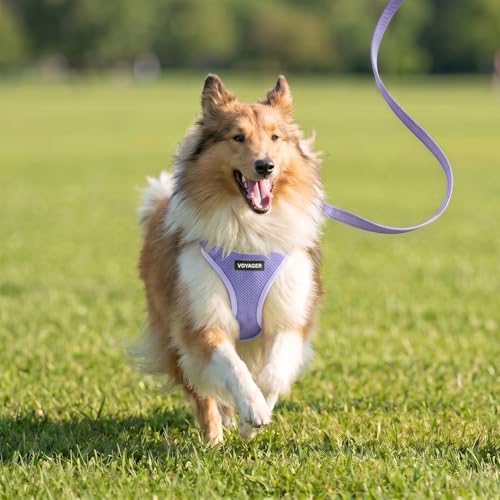 Best Pet Supplies Voyager Step-in Air All Weather Mesh Harness and Reflective Dog 5ft Leash Combo with Neoprene Handle, for Small, Medium and Large Breed Puppies - Lavender, XXS