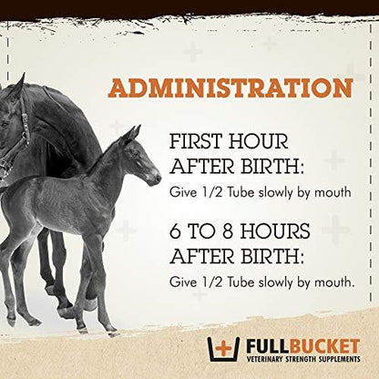 Fullbucket Health Foal Kick Start Immune Paste 80ml (Pack of 2)