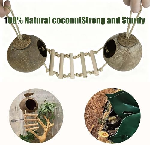 10PCS Crested Gecko Tank Accessories Set – Natural Double Coconut Shell with Ladder, Plants and Bridge Vines for Reptile Terrarium, Leopard Gecko, Lizard, Hermit Crab or Snake Habitat Decor