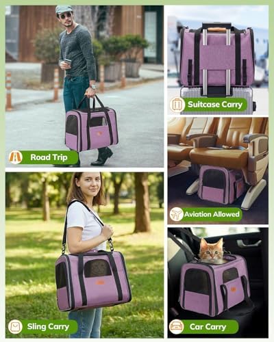 Morpilot Pet Carrier for Large Cats, Puppies & Small Dogs Up to 25lbs
