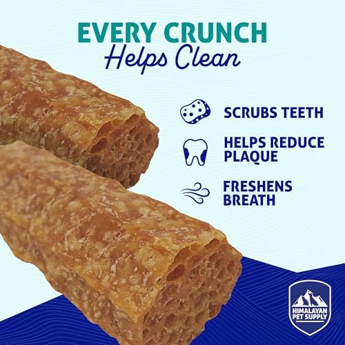 Himalayan Dog Chew Happy Teeth Yak Cheese Crunchy Dog Chew, Bacon 2 Count