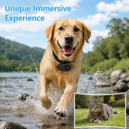 HD 1080P Cat Camera Collar with Video Record Wireless Mini Sport cam,Small Action Cameras,Body Camera for Pet Supplies Stuff Outdoor/Inoor Birthday Gift No WiFi（Black）