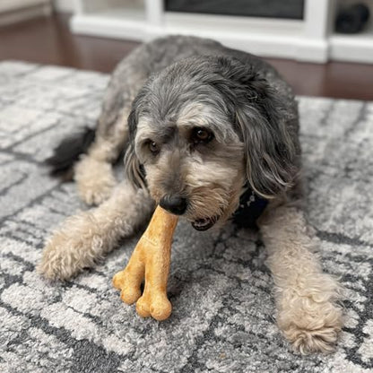Fieldcrest Farms Nothin' to Hide Collagen-Based Dog Chews, Wishbone, Beef Flavor, Ultra-Premium, for Dogs Over 50lbs, Easily Digestible, Supports Skin, Coat, Joints & Muscles, 7-Inch, 2 Pieces