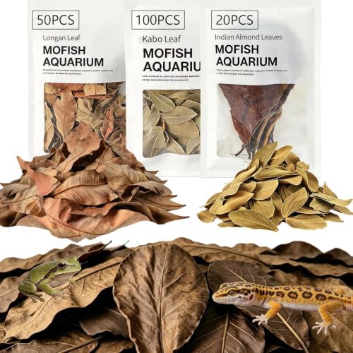 170Pcs Leaf Litter Reptiles Indian Almond & Longan Kabo Leaves