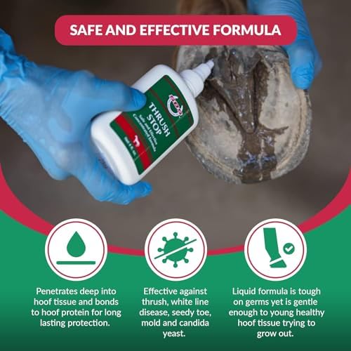 SBS Equine Thrush Treatment for Horses for The Finest Horse Care | The Horse-Journal’s Product of The Year and #1 Pick Against Hoof Thrush (8 Fluid Oz)