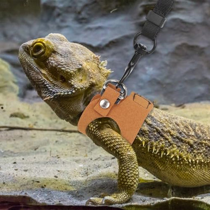 Bearded Dragon Leash & Harness Set