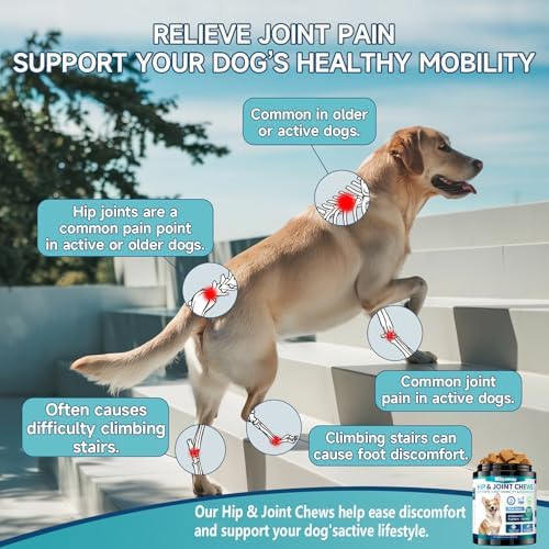 Joint Supplement for Dogs, Glucosamine for Dogs,180 Soft Chews