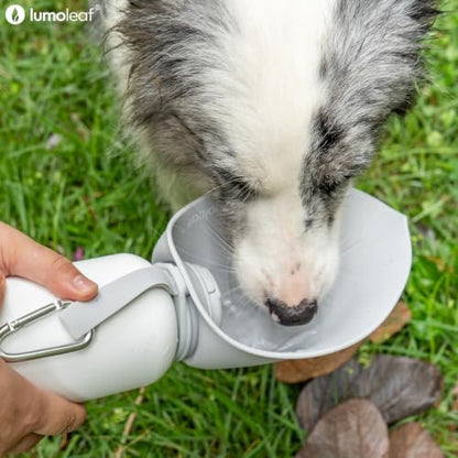LumoLeaf Insulated Dog Water Bottle 27 oz Stainless Steel - Keep Water Cool or Warm, Portable Pet Water Bowl for Travel, Wide Mouth for Easy Ice Filling & Cleaning (Grey, 27 oz)