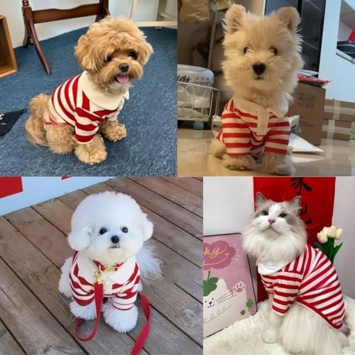MANON ROSA Boy Dog Polo Shirt for Small Dogs, Red, 2XL, 16.5-22 lb