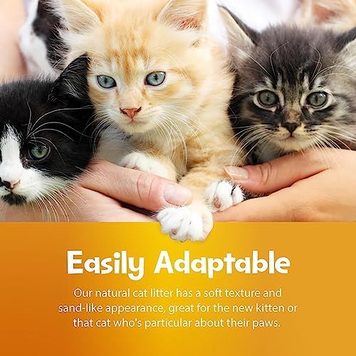 SmartCat All Natural Clumping Cat Litter - Chemical and Dust Free - Alternative to Clay and Pellet Litter - Unscented and Lightweight - 5 Pounds