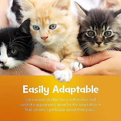 SmartCat All Natural Clumping Cat Litter - Chemical and Dust Free - Alternative to Clay and Pellet Litter - Unscented and Lightweight - 5 Pounds