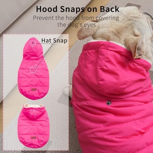 Vecomfy Warm Dog Coats with Hoodie,Winter Dog Jackets for Small Dogs