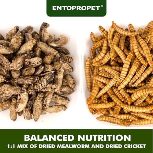 Dried Mealworms & Crickets Medley Treat for Bearded Dragons 5oz
