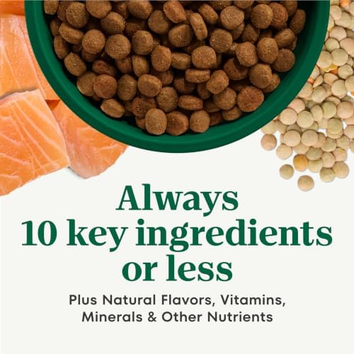 Nutro Limited Ingredient Diet Dry Dog Food, Salmon & Lentils, 22 lb