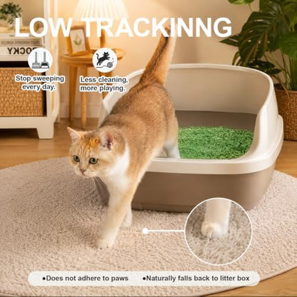 Tofu Cat Litter – Green Tea Scented for Long-Lasting Freshness, Plant-Based Kitty Litter, Flushable, Low Dust, Non-Stick Pellets for Easy Scoop & Clean, 5.5 lb
