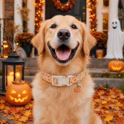Fall Yellow Floral Pumpkin Dog Collar for Medium Dog
