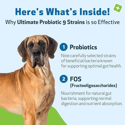 Pet Wellbeing Ultimate Probiotic 9 Strains for Dogs - Gut Health, 160 g