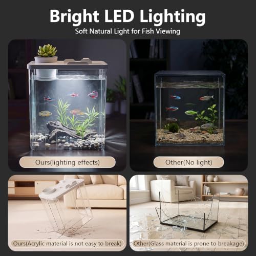 2 Gallon Betta Fish Tank Aquarium Starter Kit with Light and Lid(White)