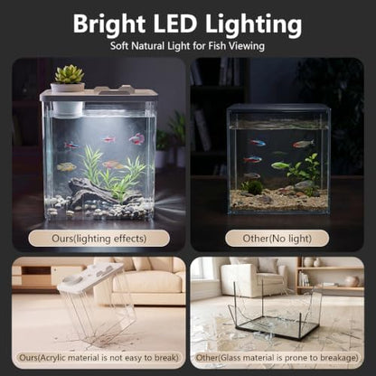 2 Gallon Betta Fish Tank Aquarium Starter Kit with Light and Lid(White)