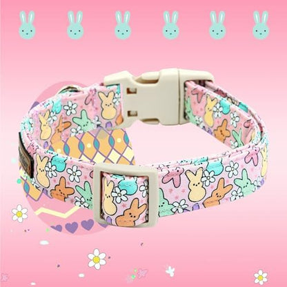 Lionheart glory Easter Dog Collar Colorful Collar for Medium Dog Collars Easter Egg Print Dog Collars Spring Female or Male Pet Gift Adjustable Heavy-Duty Holiday Dog Collar Plastic Buckle
