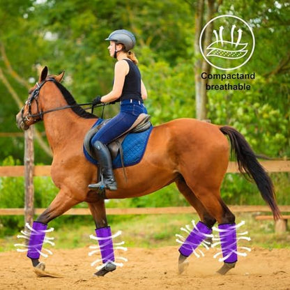 Horse Fly Boots, Breathable Mesh Protection Set of 4, Comfortable Horse Leggings, Breathable Mesh Design, Equine Supplies for Reduce Stomping, Hoof Damage & Leg Fatigue (Purple, Medium)