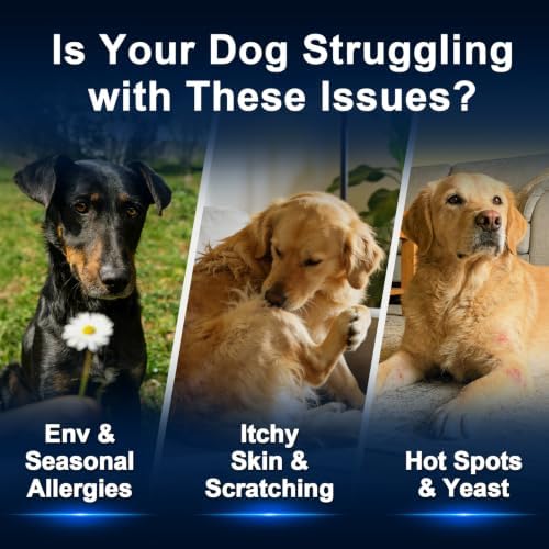 Dog Allergy Chews,is Omega 3 Human,Anti Itch Relief for Dogs Itching Skin Relief and Aller Immune Pet Multivitamin Allergy Chews Coat Licking Supplement Pills Meds Treats 250 Bites for Dogs