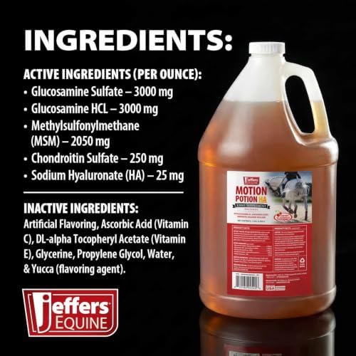 Jeffers Motion Potion Joint Supplement Liquid with HA for Horses | 1 Gallon