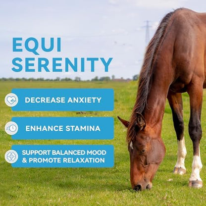 Horse Calming Support Powder – Helps Maintain Relaxed Behavior & Focus | Equine Taurine & Magnesium Blend | 28-Day Supply