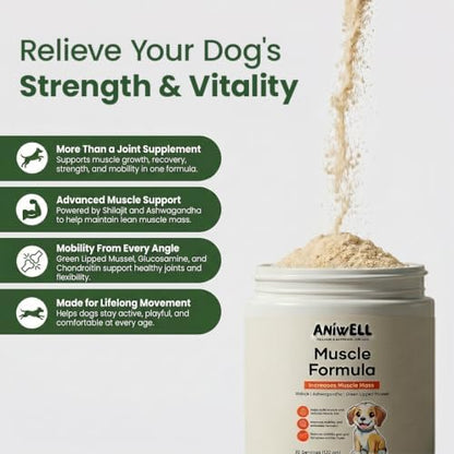 Muscle Formula for Dogs – Glucosamine Chondroitin & Green Lipped Mussel | Shilajit, Ashwagandha | Hip and Joint Supplement for Dogs Muscle Strength & Mobility | Dog Joint Supplement All Breeds
