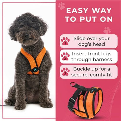 Gooby Comfort X Head-in Dog Harness, Choke-Free, Orange, Medium