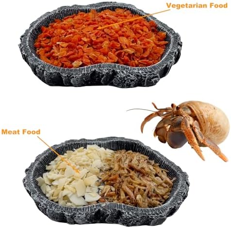 2 Pack Shallow Reptile Food Bowls, Reptile Feeding Terrarium Bowls for Bearded Dragon Lizard Frog Gecko Tortoise Hermit Crab Snail (Black)