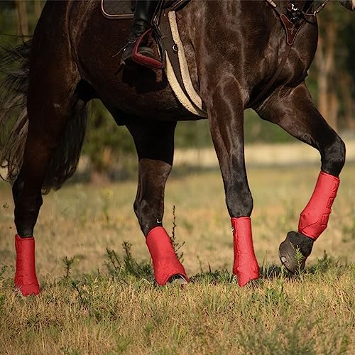 Harrison Howard Splint Boots for Horses 4 Pack, Front & Hind Horse Sport Boots with Neoprene Leg Protection