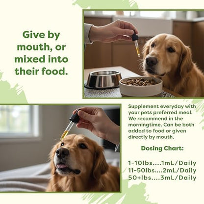 RestoraPet 1-Pack Dog & Cat Antioxidant Liquid | Daily Wellness Multivitamin | Hip & Joint Support - Anti Inflammatory Supplement for Dogs & Cats | Plant-Based, Non-GMO, Vet Approved