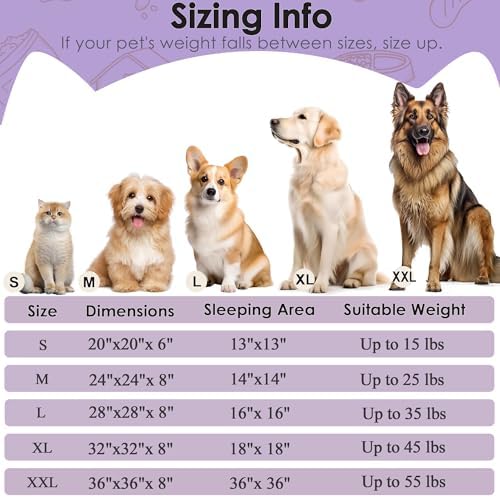 Hoewina Dog & Cat Bed, 20in Cat Beds for Indoor Cats (Purple)