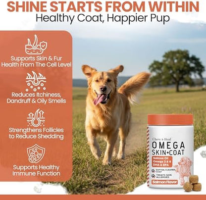 Omega 3 Fish Oil for Dogs, Salmon Flavor - 180 Soft Chews for Skin and Coat