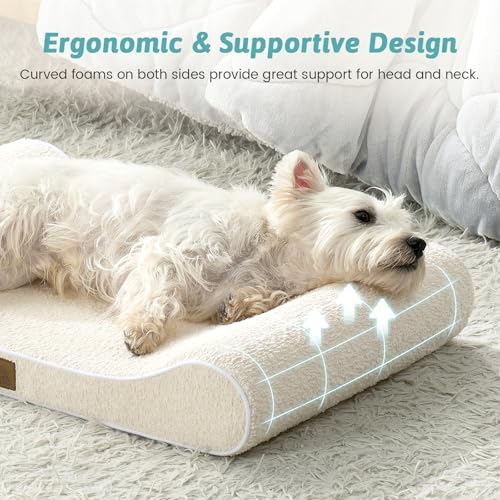 COZY KISS Orthopedic Dog Bed, for Medium Dogs up to 65 lbs, 36x24x5.5in