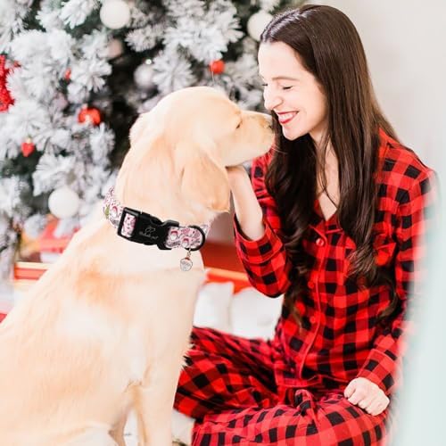 Christmas Santa Dog Collar for Puppies, Pink Girl Dog Collar