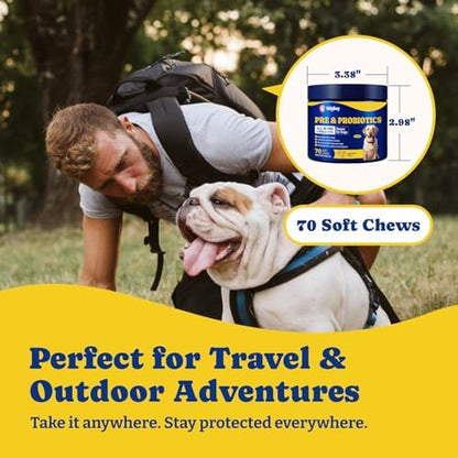 Probiotics for Dogs, Dog Gut, Immune & Skin Health Support Supplement