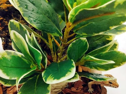 Reptile Plants Terrarium Decor,Reptile Tank Decorations