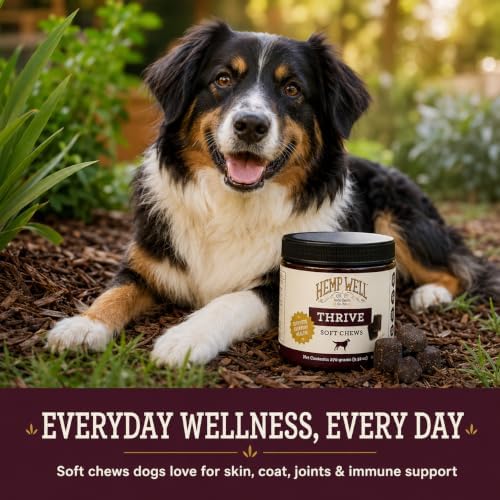 Hemp Well Thrive Chews for Dogs, Organic Hemp, Everyday Omegas, Skin Coat Support