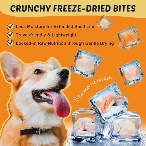 DRFOSTER Omega 3 Salmon Oil for Dogs, EPA & DHA, Skin & Coat, 120 Chews