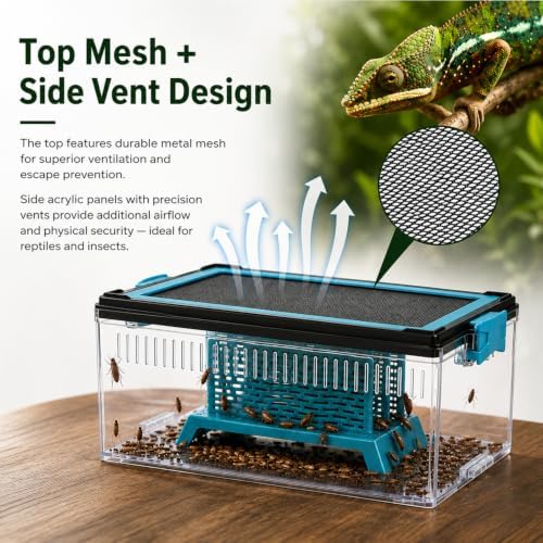 4 Pcs Feeding Container Complete Kit, 10x5.8x4.13 Inch
