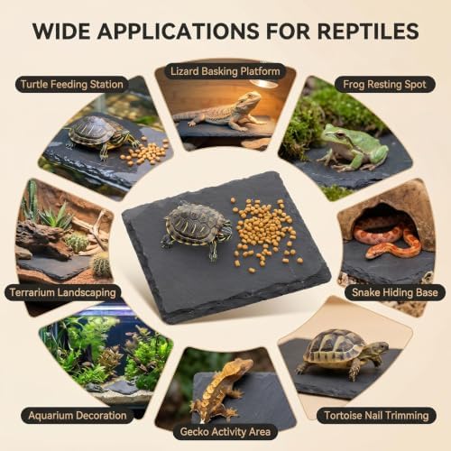 3.9 Inch Square Reptile Basking Platform Slate, Rock Feeding Slate Tile Habitat for Reptiles, Bearded Dragon Basking Resting Platform for Tortoise Lizard Gecko