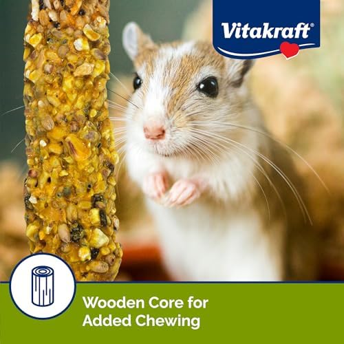 Vitakraft Crunch Sticks Hamster Treat - Peanut and Honey - Hamster Chew Sticks (Pack of 2)