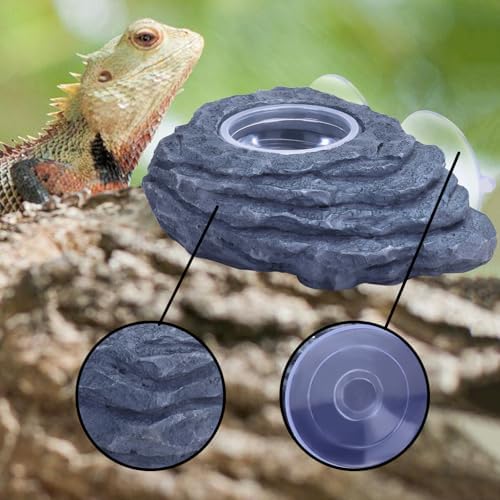 AIICIOO Crested Gecko Feeder Ledge Single Bowl Reptile Food Dish with 3PCS Reptile Feeding Cup Pet Water Dish for Bearded Dragon Snake Frog Tortoise Lizard Chameleon