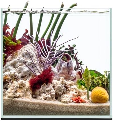 UNS Ultra Clear Rimless Tank - 7.1GAL | 27L - 11.81x11.81x11.81 | 30x30x30 CM, 5mm Glass Thickness, Leveling Mat Included - Low Iron, High Clarity Fish Tank w/ 45° Mitered Edge - [30C]