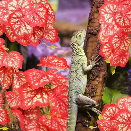 QUOZUO 2 Pack Reptile Plants for Terrarium, Artificial Leaves Habitat Decorations with Suction Cups, Terrarium Hanging Plants Vines for Bearded Dragons Lizards Snake Geckos Frogs - Red