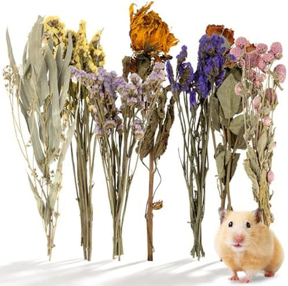 Sukh Natural Hamster Bedding Sprays - Floral Forage Cage Accessories