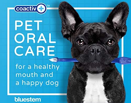 Dog Toothpaste : Vanilla Mint Flavor Tooth Paste for Dogs. Teeth Brushing Cleaner Pet Breath Freshener Oral Care Dental Cleaning Kit. Tartar & Plaque Remover Brushes
